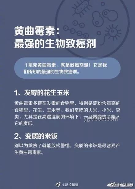 美国鸡蛋召回背后的创新反思：食品安全的数字重构